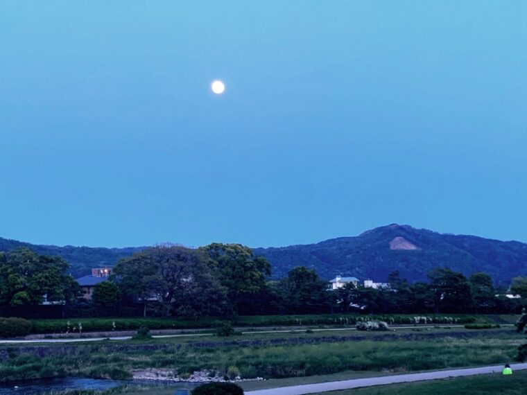 Pink_ moon_kamogawa