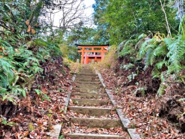 torii (1)