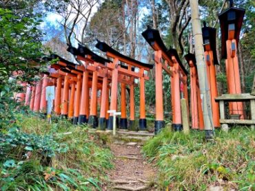 torii (2)