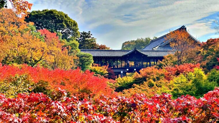 toufukuji-autumu-leaves